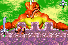 Donkey Kong Country 2
